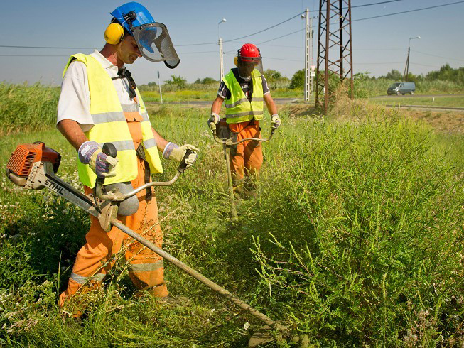 A közmunka-programról