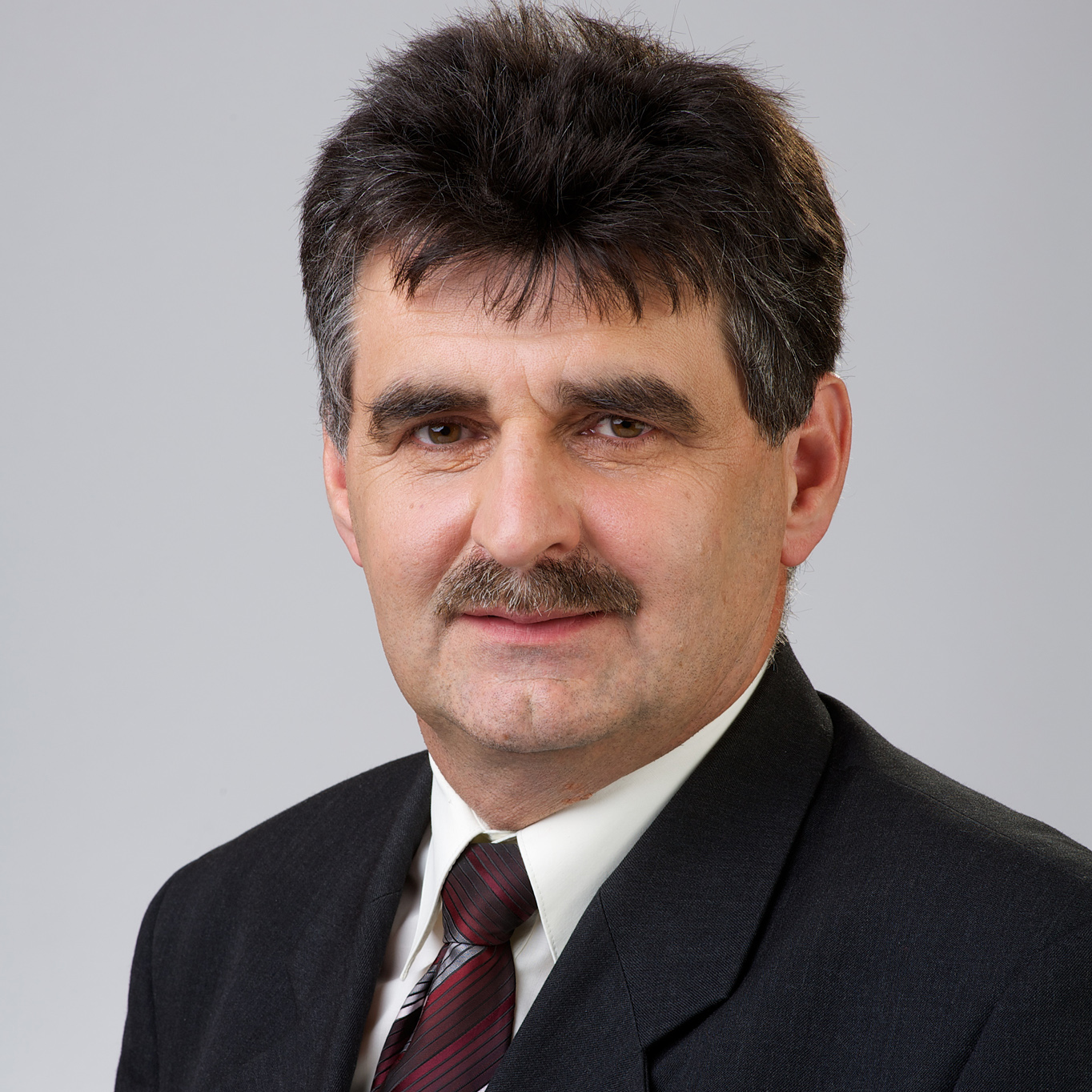 Pogácsás Tibor