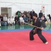 fegyveres bemutató Kung-fu elemekkel