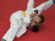 föld harcban az ifjúság